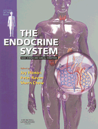 The Endocrine System
