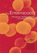 The Enterococci: Pathogenesis, Molecular Biology, Antibiotic Resistance, and Infection Control