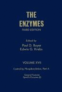The Enzymes: Control by Phosphorylation, Vol. 17