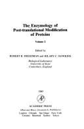 The Enzymology of Post-Translational Modification of Proteins