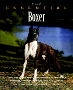 The Essential Boxer