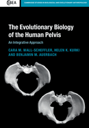 The Evolutionary Biology of the Human Pelvis: An Integrative Approach
