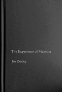 The Experience of Meaning