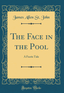 The Face in the Pool: A Faerie Tale (Classic Reprint)
