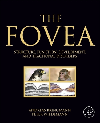 The Fovea: Structure, Function, Development, and Tractional Disorders - Bringmann, Andreas, and Wiedemann, Peter, MD