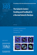 The Galactic Center (Iau S303): Feeding and Feedback in a Normal Galactic Nucleus