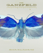 The Ganzfeld #3