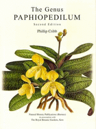 The genus Paphiopedilum