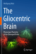 The Gliocentric Brain: Phenotype Plasticity of the Damaged Brain