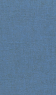 The Greek Prothetic Vowel