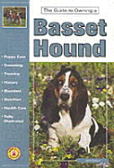 The Guide to Owning a Basset Hound