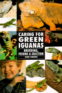 The Guide to Owning a Green Iguana: Breeding, Feeding and Selection