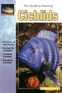 The Guide to Owning Cichlids