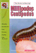 The Guide to Owning Millipedes and Centipedes