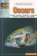 The guide to owning oscars