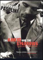 The Hawks and the Sparrows
