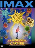 The Hidden Dimension