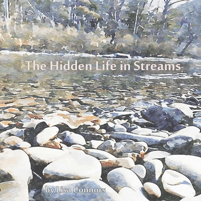 The Hidden Life in Streams - Connors, Lisa