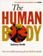 The human body