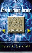 The Human Brain: A Guided Tour