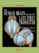 The Human Brain During the Late First Trimester
