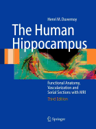 The Human Hippocampus