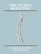 The Human Skeleton - Shipman, Pat, and Walker, Alan, and Bichell, David