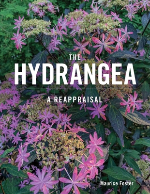 The Hydrangea: A Reappraisal - Foster, Maurice