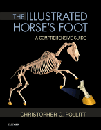 The Illustrated Horse's Foot: A comprehensive guide