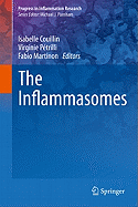 The Inflammasomes
