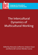 The Intercultural Dynamics of Multicultural Working, 19