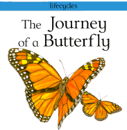 The Journey of a Butterfly
