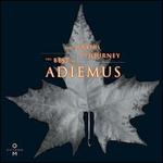 The Journey: The Best of Adiemus
