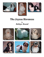 The Joyous Havanese