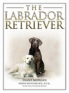 The Labrador Retriever