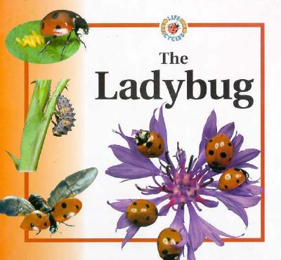 The Ladybug - Crewe, Sabrina