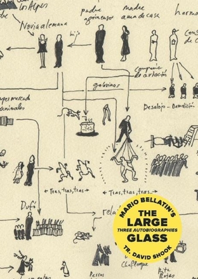 The Large Glass - Bellatin, Mario, and Shook, David (Translated by)