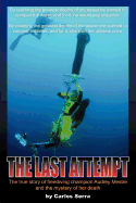 The Last Attempt
