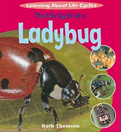 The Life Cycle of a Ladybug