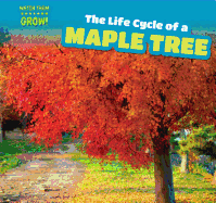 The Life Cycle of a Maple Tree