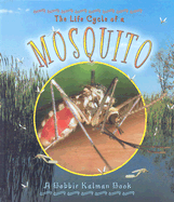 The Life Cycle of a Mosquito