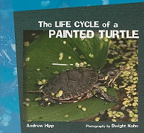The Life Cycle of a Painted Turtle