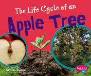The Life Cycle of an Apple Tree