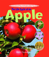The Life Cycle of an Apple