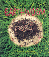 The Life Cycle of the Earthworm