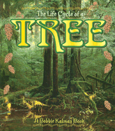 The Life Cycle of the Tree