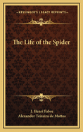 The Life of the Spider