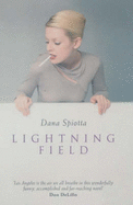 The Lightning Field