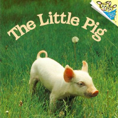 The Little Pig - Dunn, Judy, and Dunn, Phoebe (Photographer)