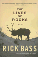 The Lives of Rocks